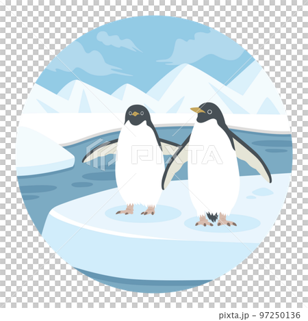 南極のペンギン 97250136