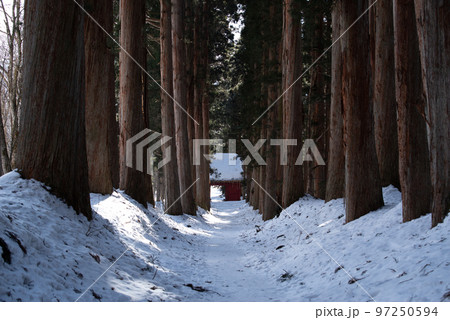 冬 戸隠神社奥社への杉並木② 冬 戸隠神社奥社への杉並木② 97250594