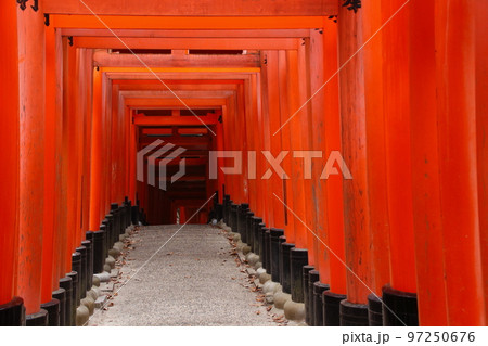 秋の伏見稲荷大社:千本鳥居(奥社奉拝所→熊鷹社) 秋の伏見稲荷大社:千本鳥居(奥社奉拝所→熊鷹社) 97250676