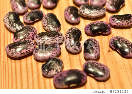 紫花豆　むらさきはなまめ 97251132