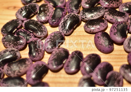 紫花豆　むらさきはなまめ 97251135