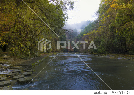 千葉県・養老渓谷 粟又の滝自然遊歩道 / Yoro Valley, Japan 97251535
