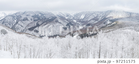 冬の長野県白馬村の雪景色 冬の長野県白馬村の雪景色 97251575