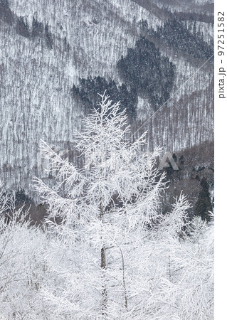 冬の長野県白馬村の雪景色 97251582