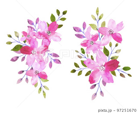 Floral arrangements of bright pink flowers and leaves. watercolor illustration 97251670