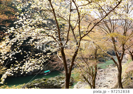 保津川峡谷 保津川峡谷 97252838
