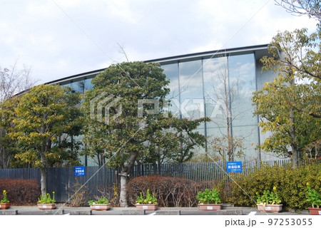 菜の花忌の頃の司馬遼太郎記念館 97253055