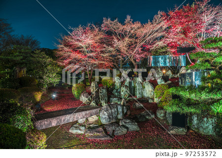 《愛知県》秋の名古屋城夜間公開 夜の名古屋城二之丸庭園ライトアップ 《愛知県》秋の名古屋城夜間公開 夜の名古屋城二之丸庭園ライトアップ 97253572