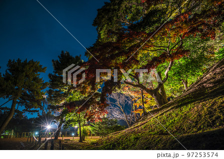 《愛知県》秋の名古屋城夜間公開 夜の名古屋城二之丸庭園ライトアップ 《愛知県》秋の名古屋城夜間公開 夜の名古屋城二之丸庭園ライトアップ 97253574