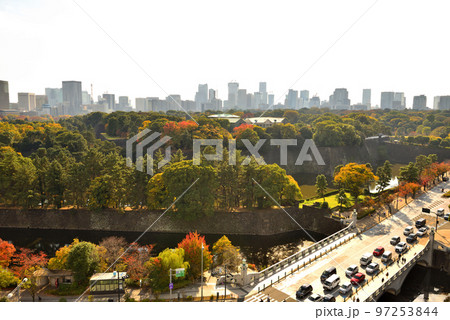 都心竹橋周辺の紅葉 97253844