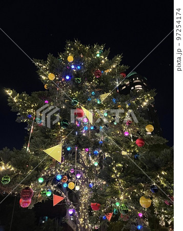 大きなクリスマスツリーとイルミネーション 97254174