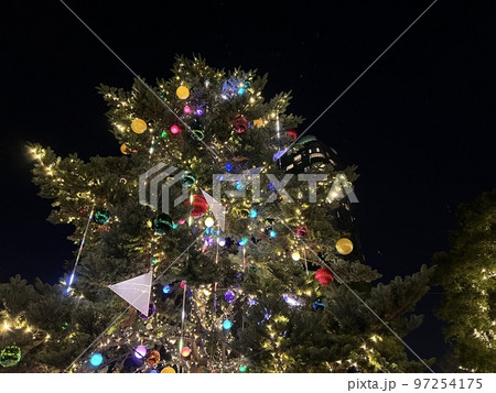 大きなクリスマスツリーとイルミネーション 大きなクリスマスツリーとイルミネーション 97254175
