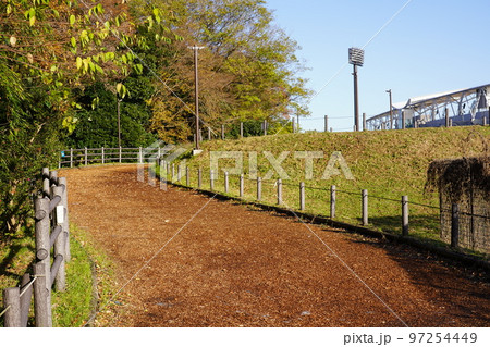 相模原麻溝公園 クロスカントリーコース 相模原麻溝公園 クロスカントリーコース 97254449