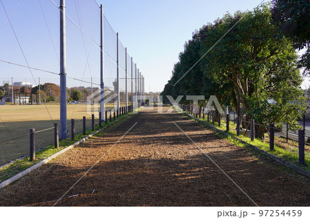 相模原麻溝公園 クロスカントリーコース 97254459