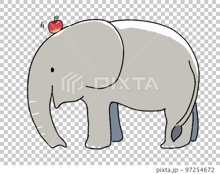 頭上頂著蘋果的大象 97254672