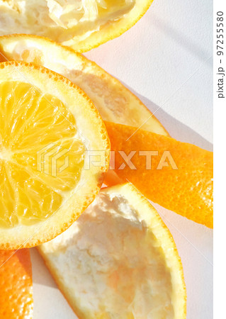Summer coral orange slice. Citrus food diet. Fruit round juicy concept. Modern Summer coral orange slice. Citrus food diet. Fruit round juicy concept. Modern 97255580