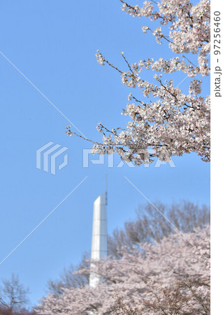 栃木県矢板市 長峰公園 栃木県矢板市 長峰公園 97256460