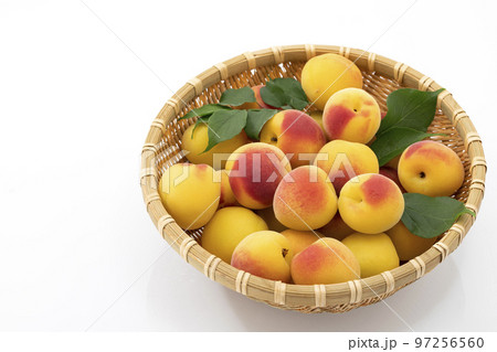 白バックの深ざるに入れた黄色く色付いた南高梅 白バックの深ざるに入れた黄色く色付いた南高梅 97256560