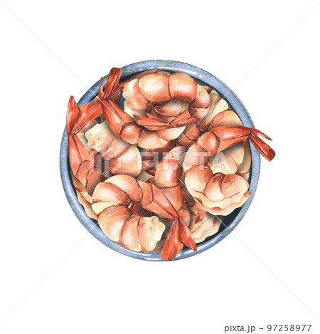 Peeled boiled shrimp, boiled with tails in a ceramic bowl, top view. Watercolor illustration. A composition from the SHRIMP collection. For the design of menus, recipes, cafes, restaurants, packaging Peeled boiled shrimp, boiled with tails in a ceramic bowl, top view. Watercolor illustration. A composition from the SHRIMP collection. For the design of menus, recipes, cafes, restaurants, packaging 97258977
