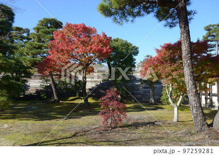 秋の二条城　城内の紅葉　京都市中京区 97259281