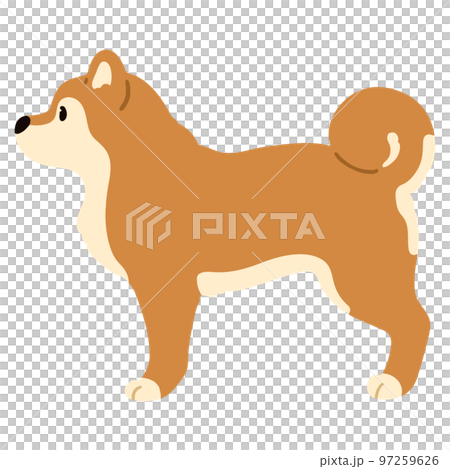 横向きのシンプルで可愛い柴犬のイラスト 主線なしのイラスト素材 [97259626] - PIXTA
