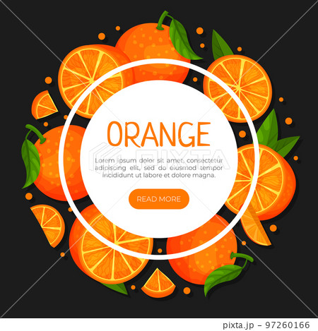 Orange Bright Ripe Fruit Food Banner Design Vector Template 97260166