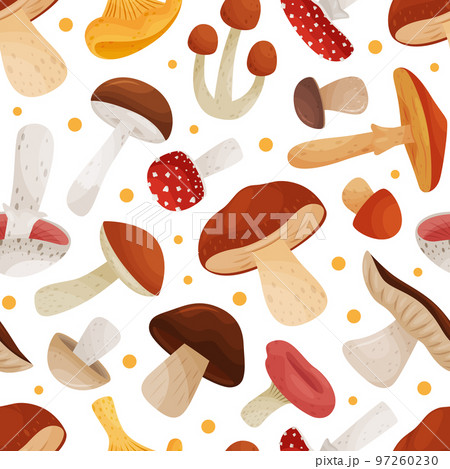 Mushroom Seamless Pattern Design with Edible Agaric Forest Growing Food Vector Template Mushroom Seamless Pattern Design with Edible Agaric Forest Growing Food Vector Template 97260230