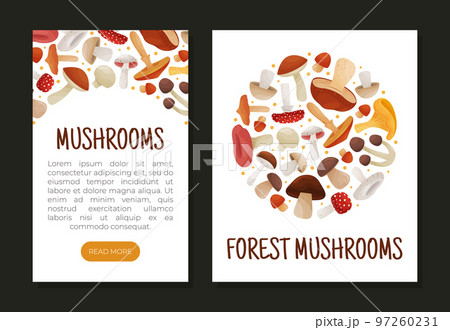 Mushroom Banner Design with Edible Agaric Forest Growing Food Vector Template Mushroom Banner Design with Edible Agaric Forest Growing Food Vector Template 97260231