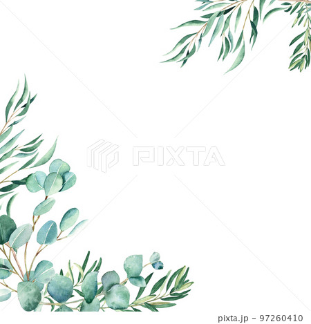 Watercolor frame, eucalyptus and olive branches. Rustic greenery. Hand drawn botanical illustration isolated on white background. Ideal for stationery, invitations, save the date, wedding, greeting 97260410