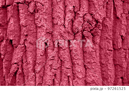 Tree bark texture background. Trendy color concept. Tree bark texture background. Trendy color concept. 97261525
