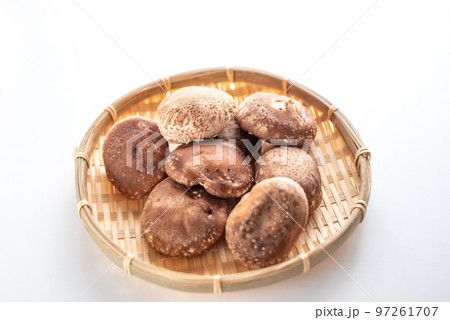 肉厚で美味しい椎茸 97261707