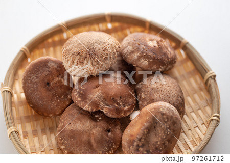 肉厚で美味しい椎茸 肉厚で美味しい椎茸 97261712