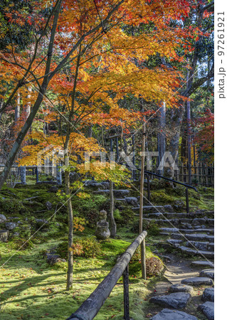 湖東三山 龍應山西明寺 紅葉の庭園 湖東三山 龍應山西明寺 紅葉の庭園 97261921