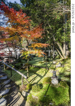 湖東三山　龍應山西明寺　紅葉の庭園 97261932