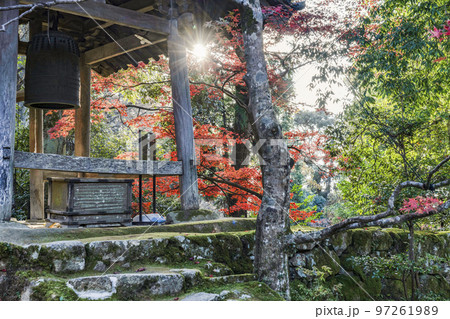 湖東三山　龍應山西明寺　紅葉と鐘楼 97261989