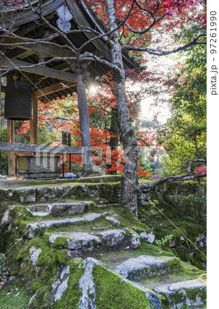 湖東三山　龍應山西明寺　紅葉と鐘楼 97261990