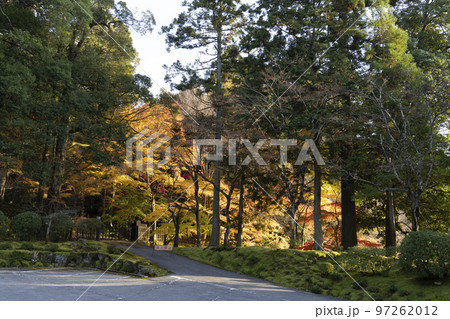 湖東三山　龍應山西明寺　駐車場周辺の紅葉 97262012