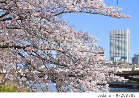 名古屋市熱田区街並み 名古屋市熱田区街並み 97263585