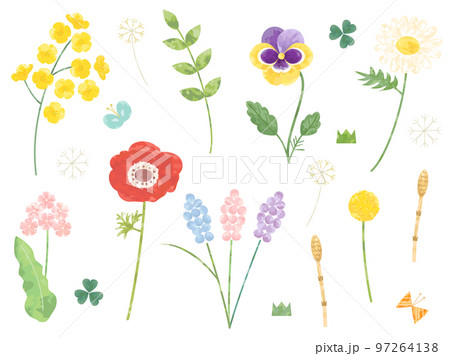菜の花やパンジー・アネモネなどのの春の花のイラストのセット 菜の花やパンジー・アネモネなどのの春の花のイラストのセット 97264138
