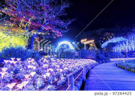 あしかがフラワーパークのイルミネーション　光の花の庭　栃木県足利市 97264425