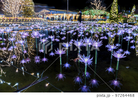 あしかがフラワーパークのイルミネーション　光の花の庭　栃木県足利市 97264468
