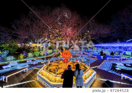 あしかがフラワーパークのイルミネーション 光の花の庭 栃木県足利市 あしかがフラワーパークのイルミネーション 光の花の庭 栃木県足利市 97264528