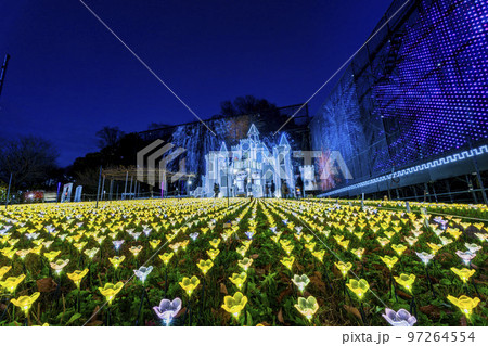 あしかがフラワーパークのイルミネーション 光の花の庭 栃木県足利市 あしかがフラワーパークのイルミネーション 光の花の庭 栃木県足利市 97264554