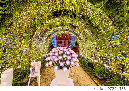 あしかがフラワーパークのイルミネーション　光の花の庭　栃木県足利市 97264588