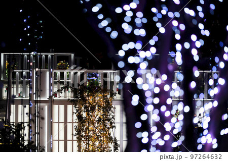 あしかがフラワーパークのイルミネーション 光の花の庭 栃木県足利市 あしかがフラワーパークのイルミネーション 光の花の庭 栃木県足利市 97264632