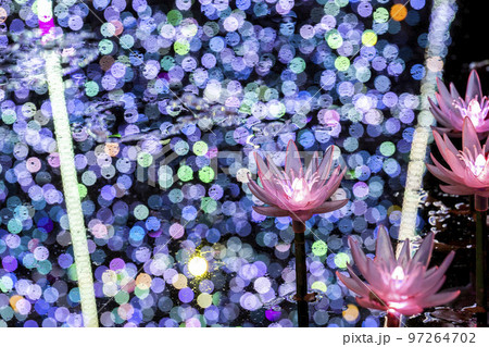 あしかがフラワーパークのイルミネーション　光の花の庭　栃木県足利市 97264702