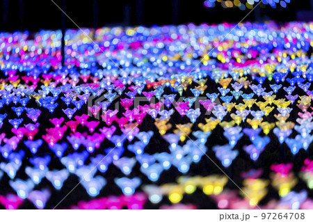 あしかがフラワーパークのイルミネーション　光の花の庭　栃木県足利市 97264708