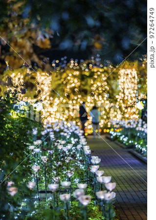 あしかがフラワーパークのイルミネーション　光の花の庭　栃木県足利市 97264749