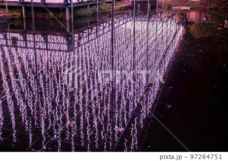 あしかがフラワーパークのイルミネーション　光の花の庭　栃木県足利市 97264751