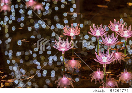 あしかがフラワーパークのイルミネーション　光の花の庭　栃木県足利市 97264772